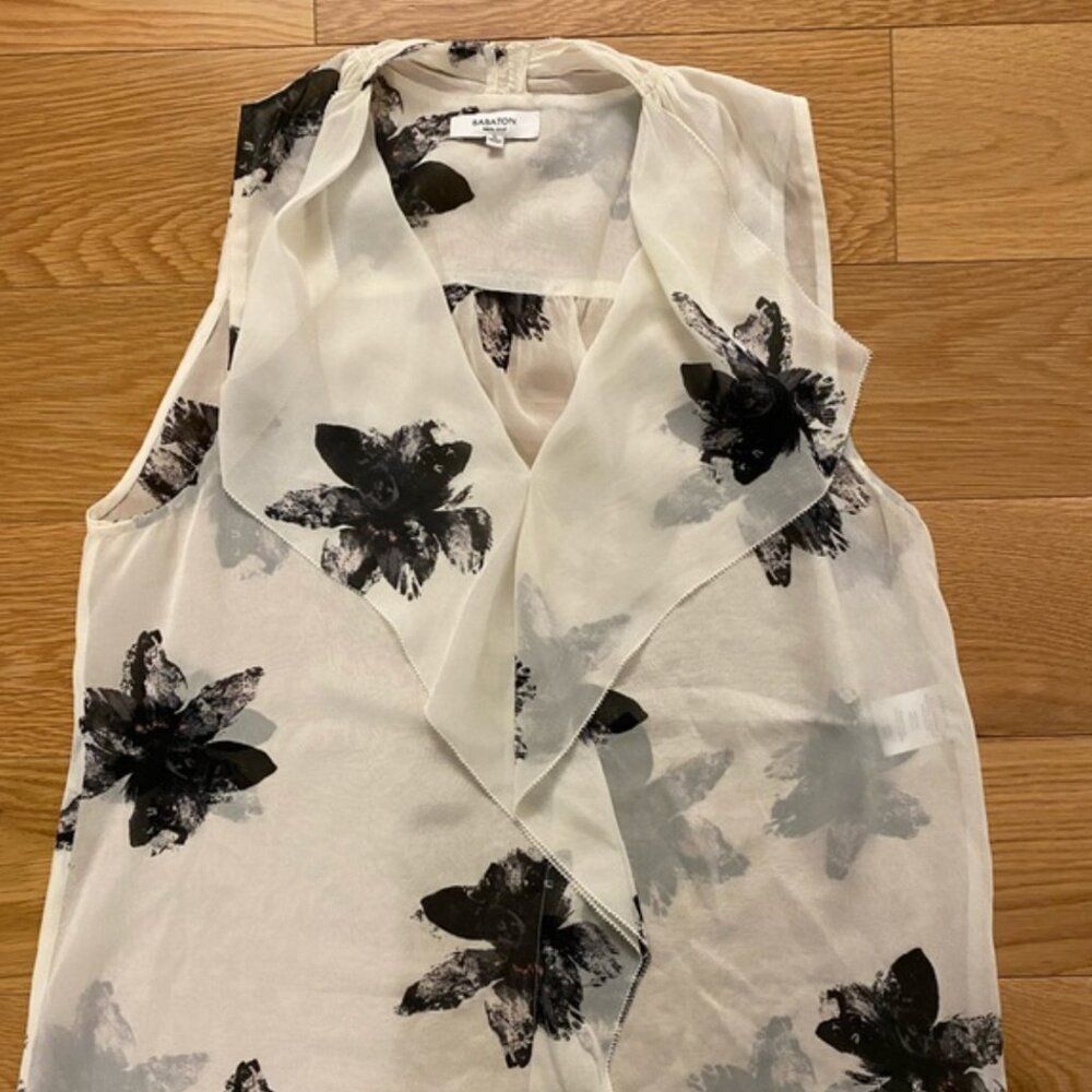 Aritzia Babaton Sheer Sleeveless Silk Blouse, Medium